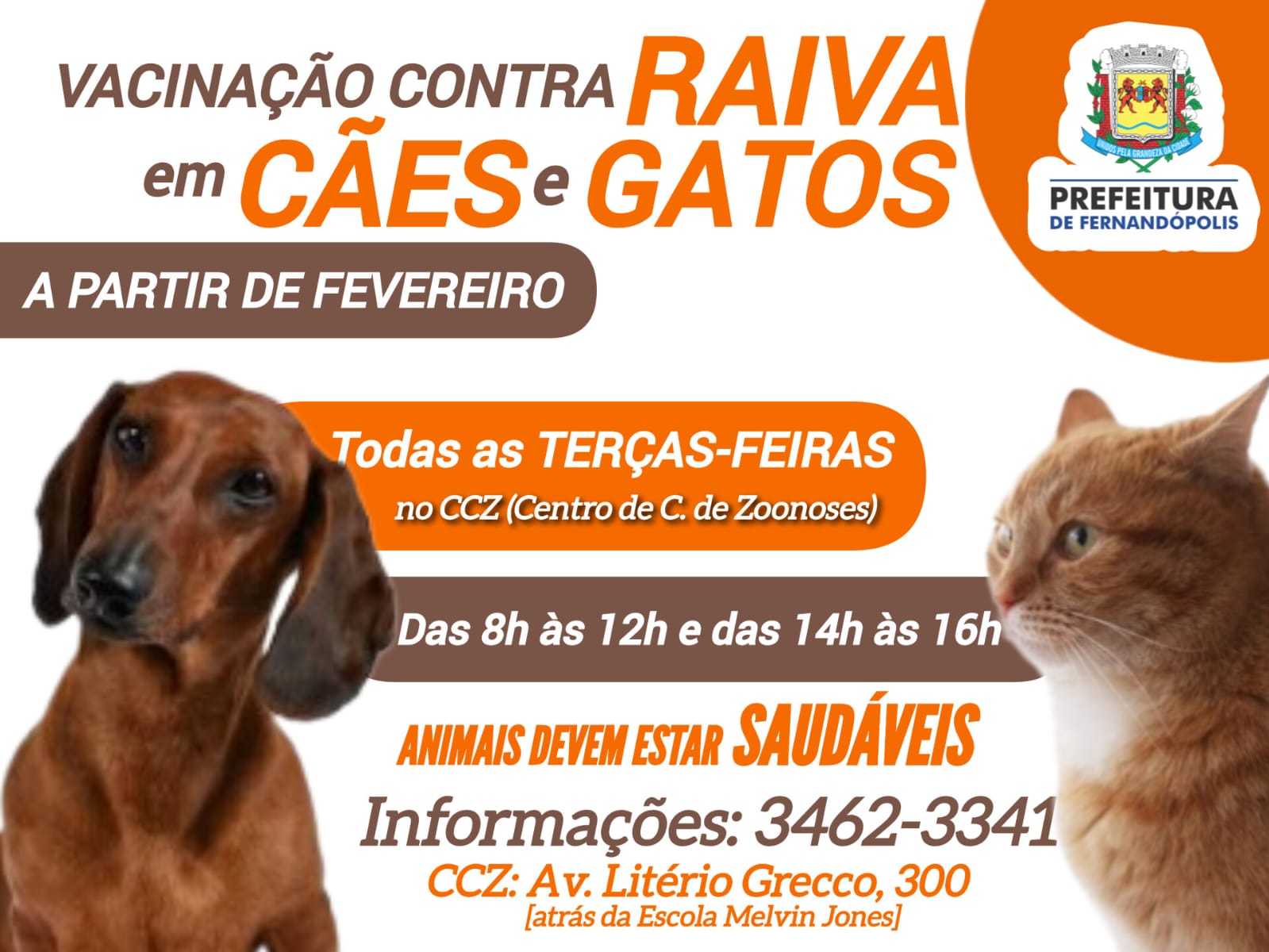 CCZ: a partir de fevereiro, vacinação contra raiva animal todas as terças-feiras