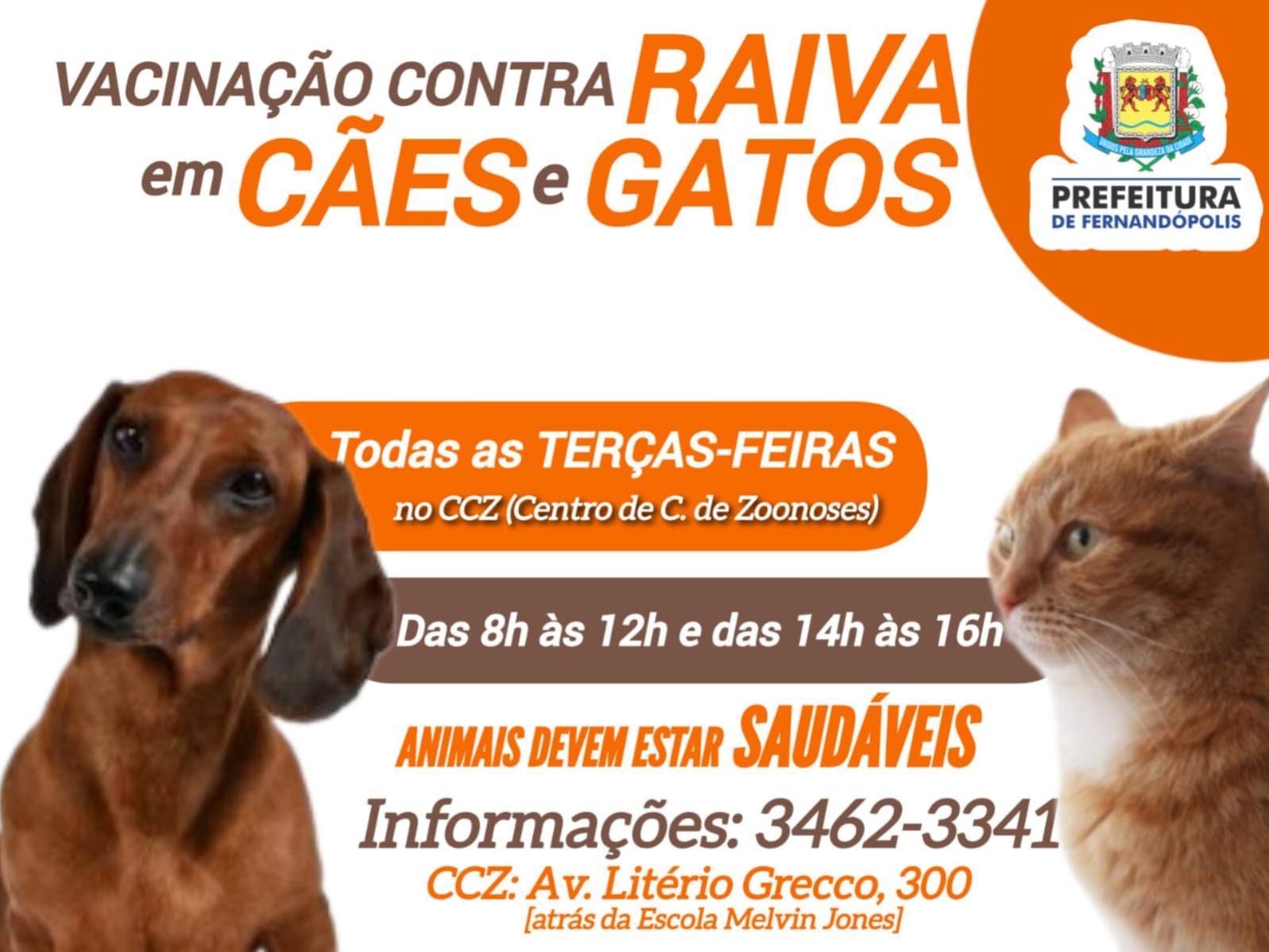 Vacinação contra raiva animal acontece todas as terças-feiras no ‘CCZ’