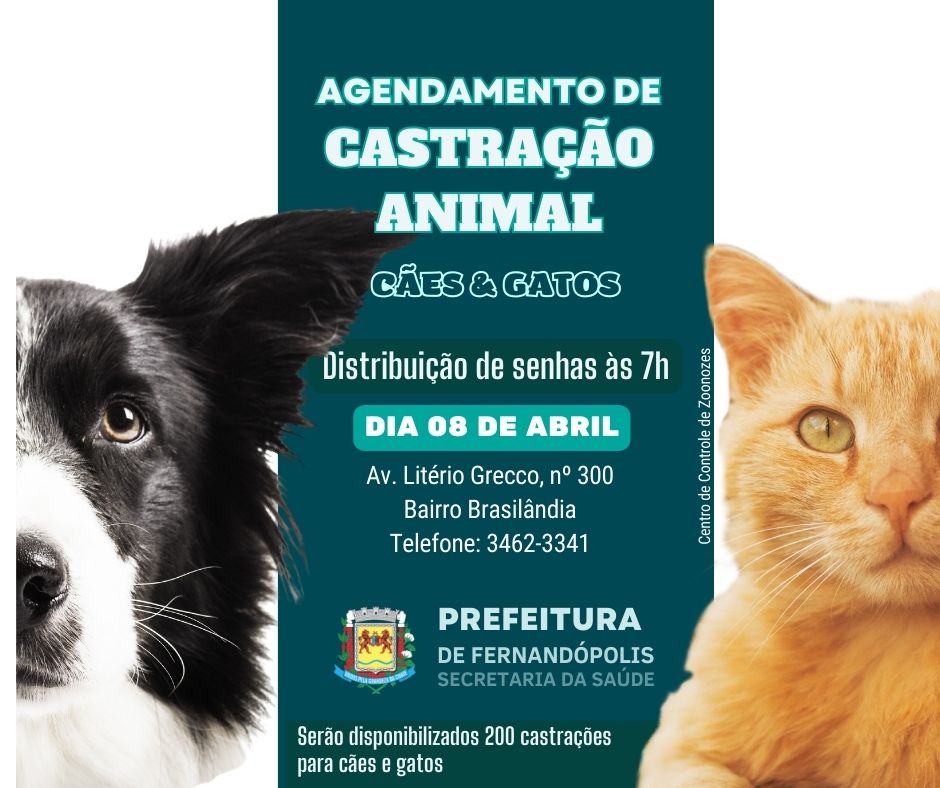 CCZ prepara mais um agendamento para castração de animais