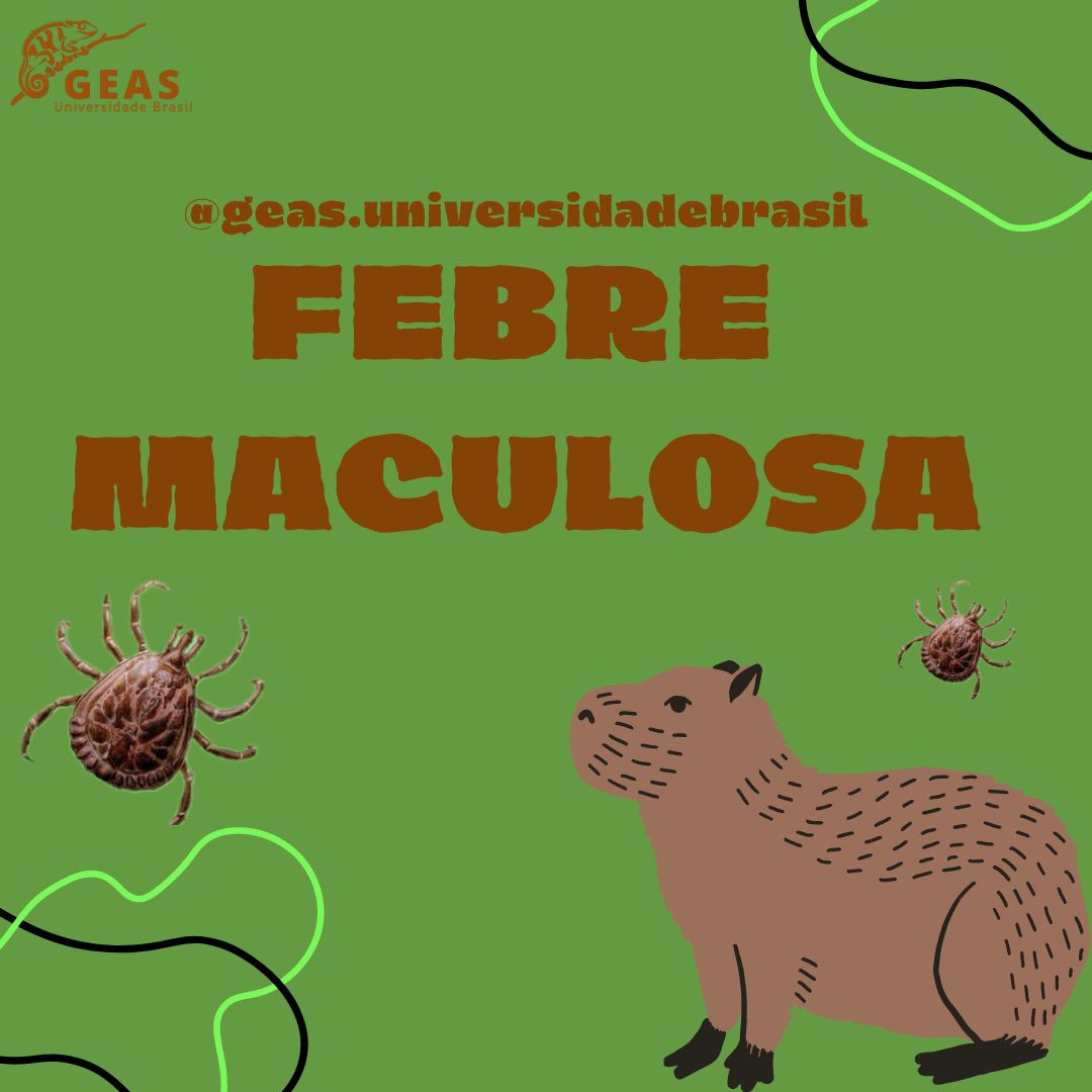 Febre Maculosa