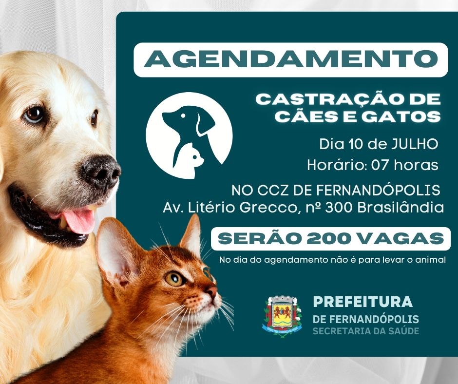 Agendamento para castração de animais acontece dia 10 de julho no CCZ