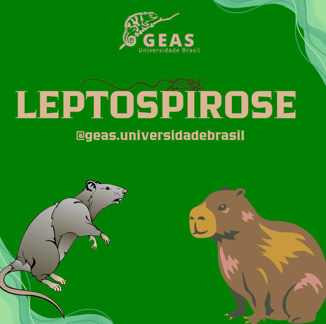 Leptospirose