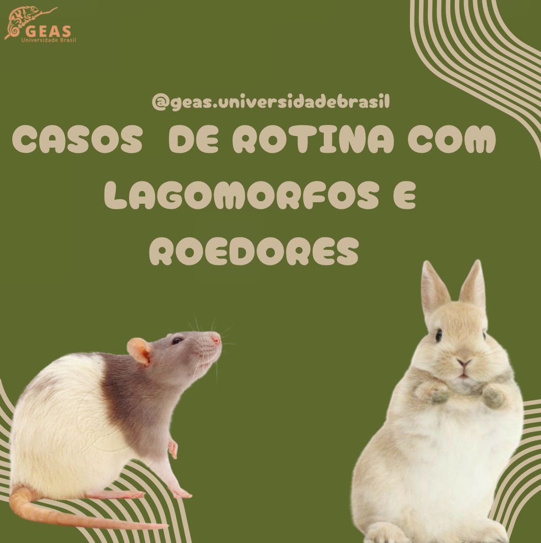 Casos de Rotina com Lagomorfos e Roedores