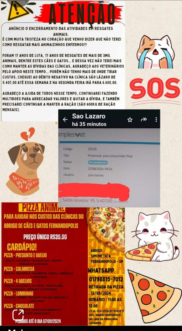 “Encerro o resgate de animais”, lamenta protetora, que pede ajuda para manter Abrigo