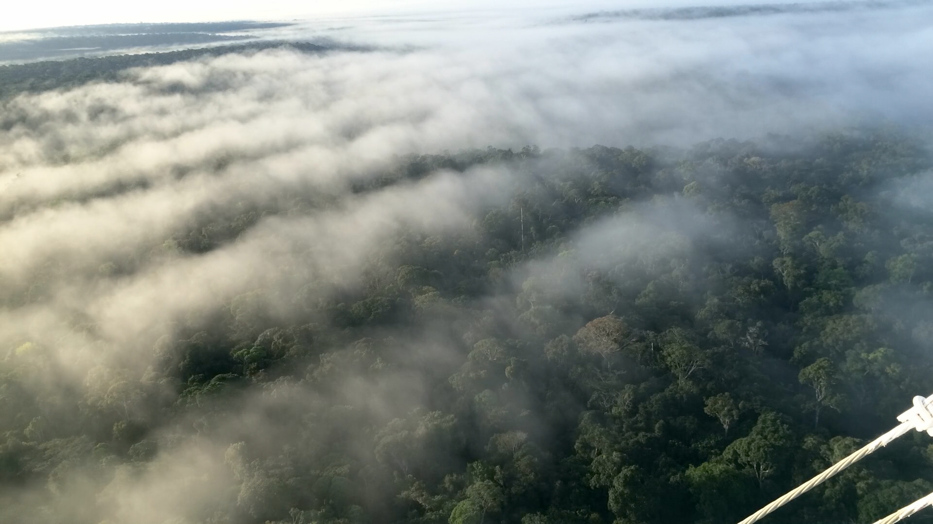 Tempo seco, incêndios e chuva preta devem persistir por mais três meses