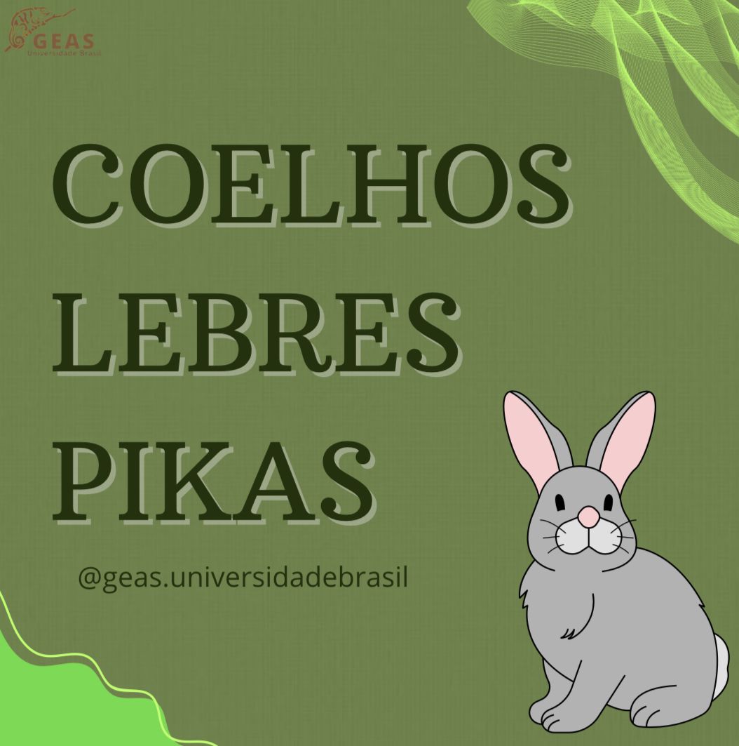 Coelhos, Lebres e Pikas