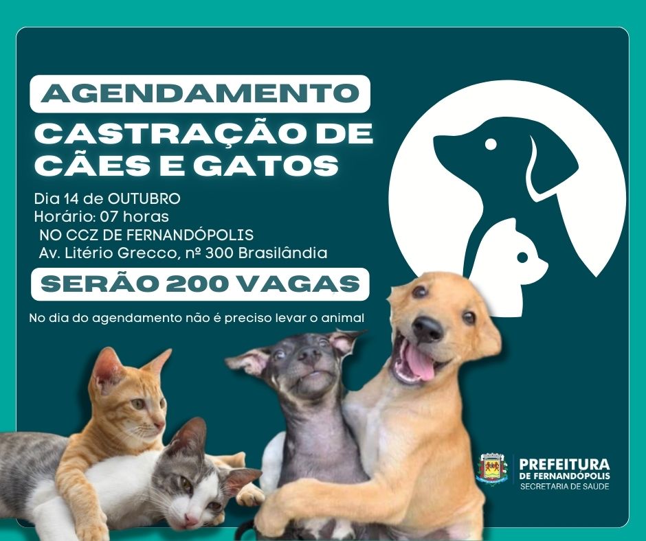 Agendamento para castração de animais acontece dia 14 de outubro no CCZ