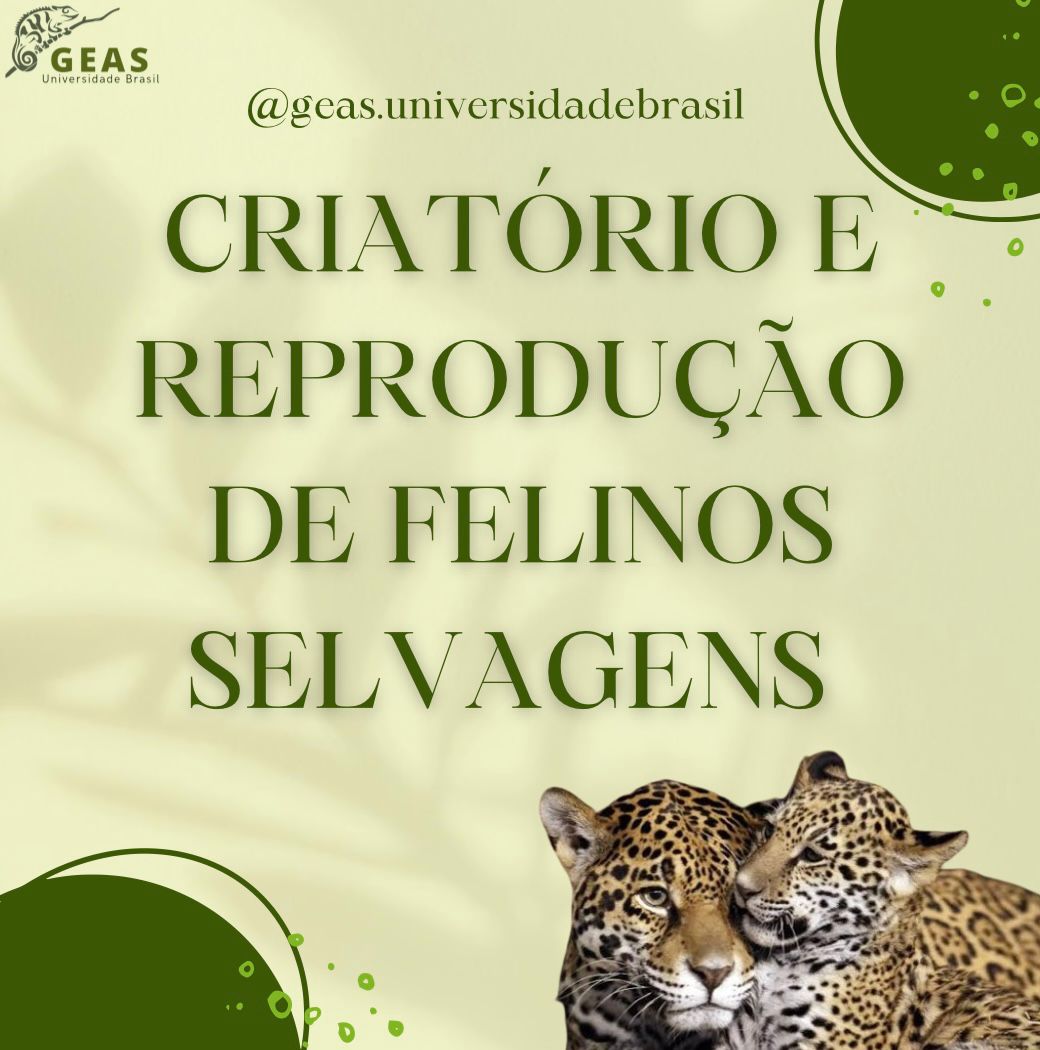 Criatório e Reprodução de Felinos Selvagens