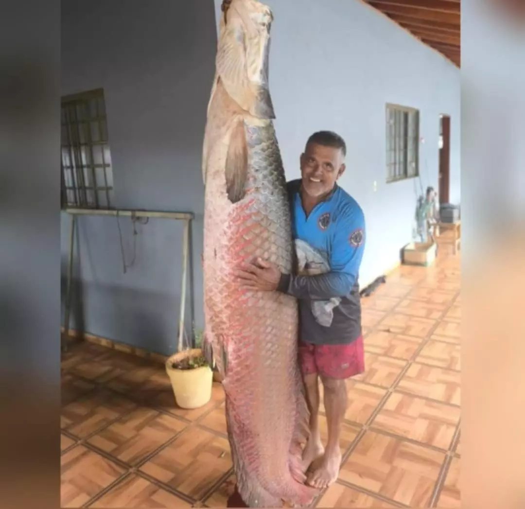 Pescador de Mira Estrela fisga pirarucu de 133 kg no Rio Grande