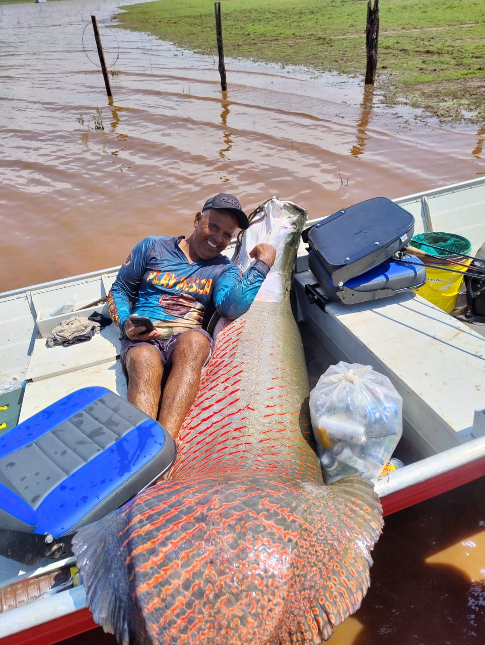 Pirarucus gigantes: as conquistas do pescador Odair nos rios de Mira Estrela