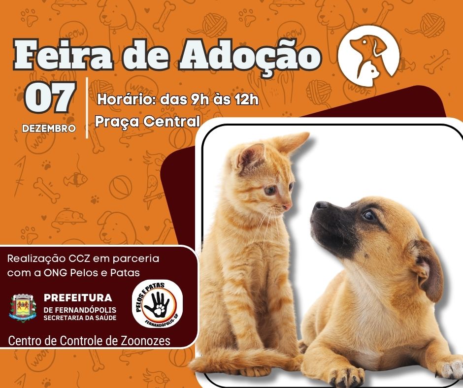 CCZ promove feira de adoção de cães e gatos