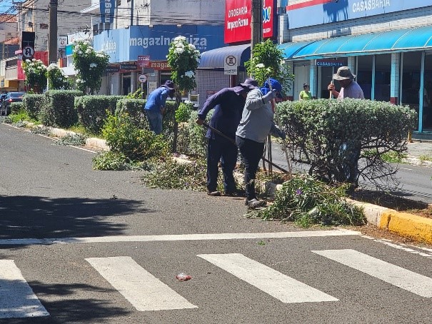 Secretaria do Meio Ambiente e a Secretaria de Obras realizaram poda e limpeza dos canteiros da área central de Fernandópolis