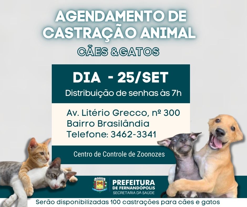 Agendamento para castração de animais acontece nesta segunda, dia 25, no CCZ