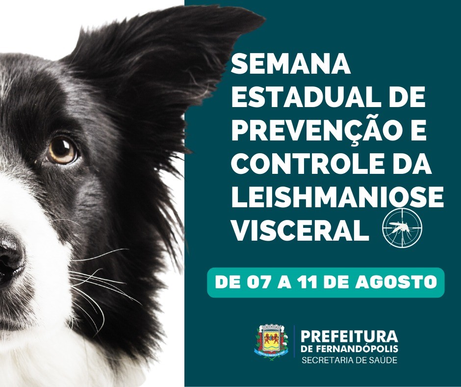 Semana de combate e prevenção à Leishmaniose está em andamento