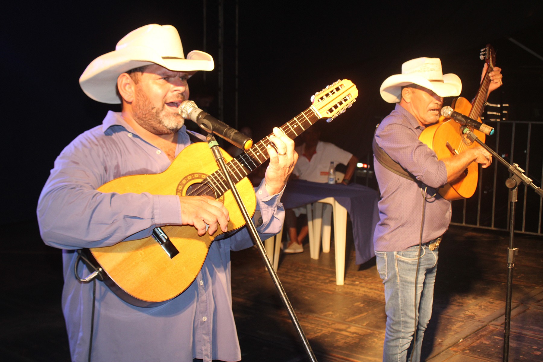 Festival de Violeiros de Mira Estrela foi sucesso absoluto!